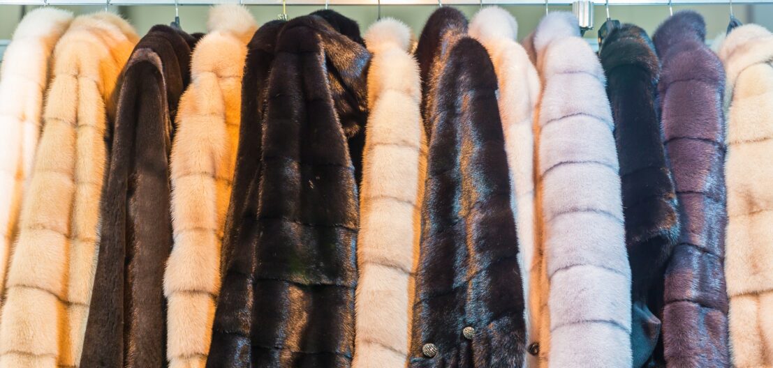 Collection of fur coats in shop, store showcase